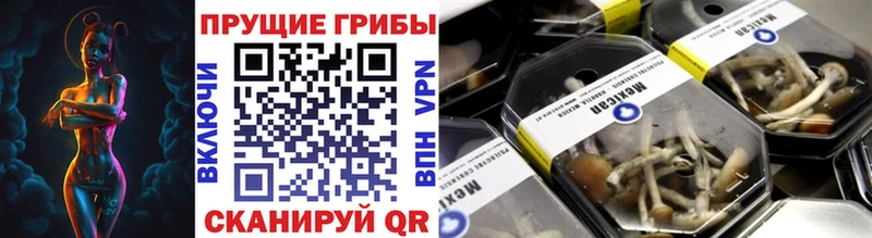 Купить где  Павловская  Псилоцибиновые грибы ЛСД 